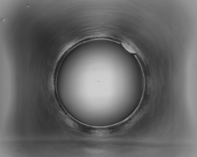 X0000108480789200904031429