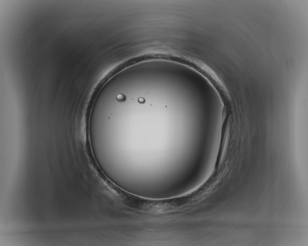 X0000108480791200904031428
