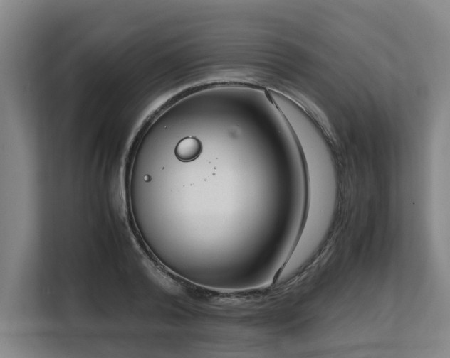 X0000108480792200904031428