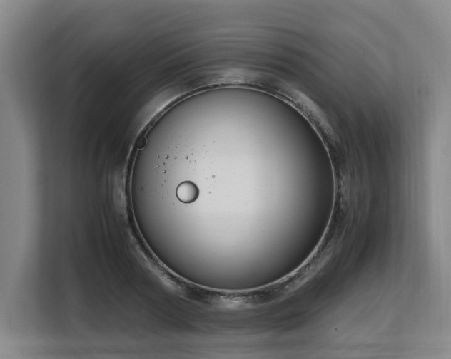 X0000108480794200904031428