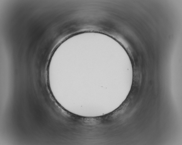 X0000108480807200904031428