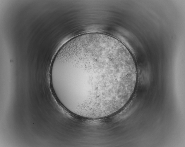 X0000108480810200904031428