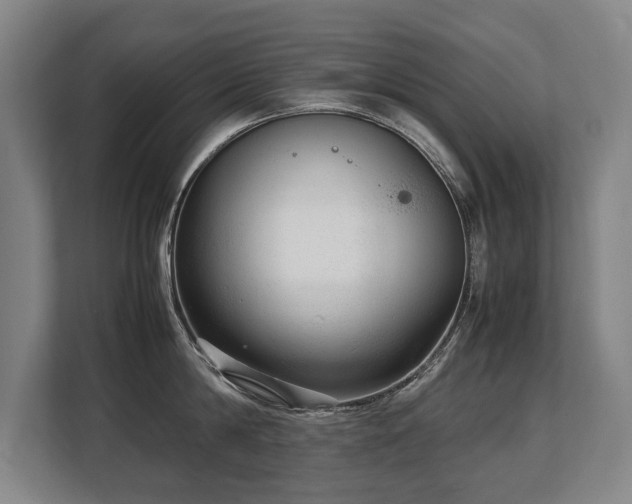 X0000108480814200904031428