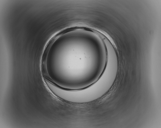 X0000108480815200904031428