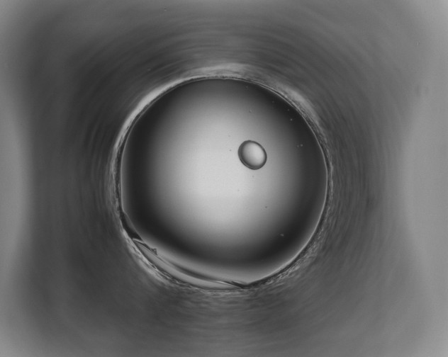 X0000108480816200904031428