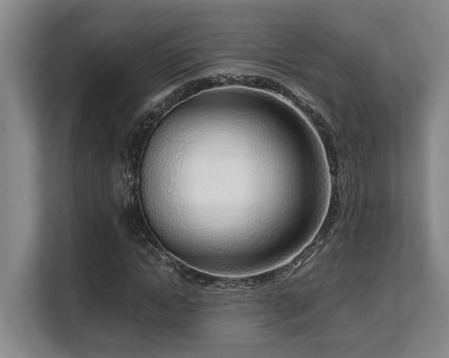 X0000108480822200904031428