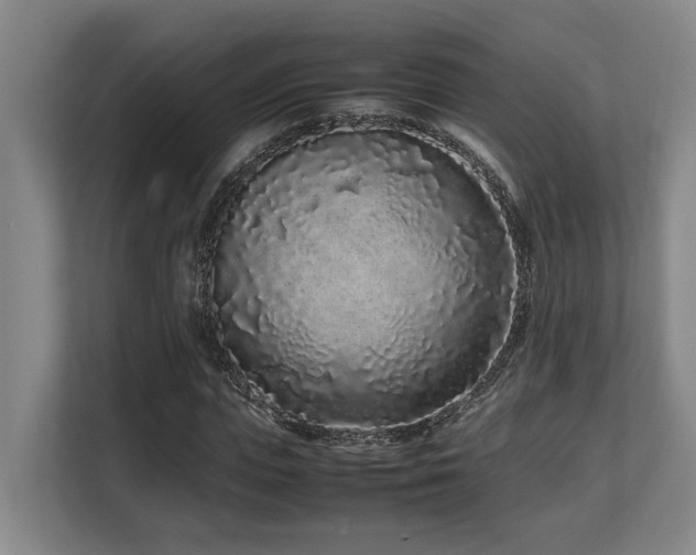 X0000108480823200904031428