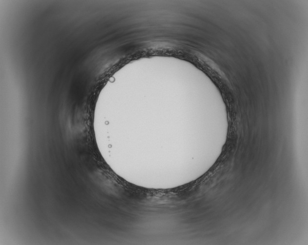 X0000108480824200904031428