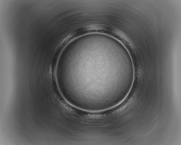 X0000108480825200904031428