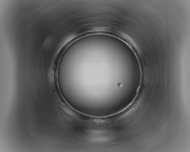 X0000108480827200904031428