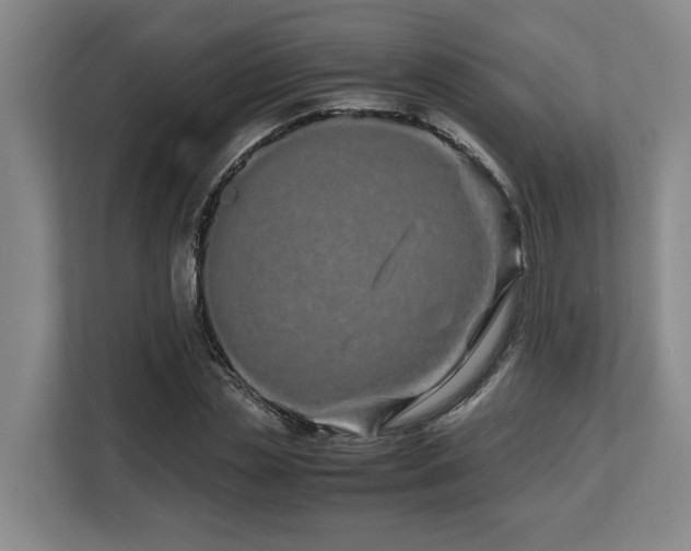 X0000108480829200904031428