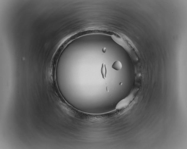 X0000108480830200904031428