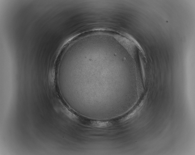 X0000108480831200904031428