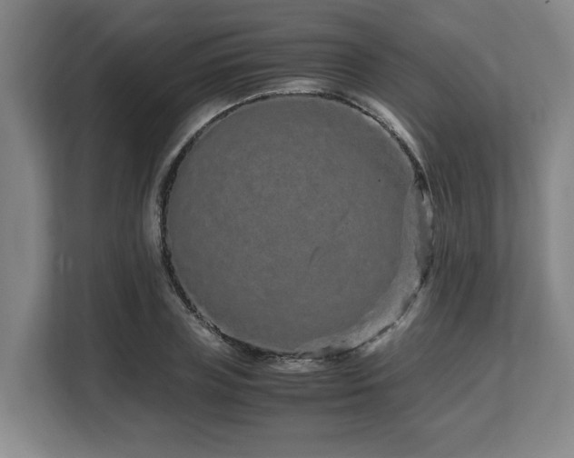 X0000108480835200904031428