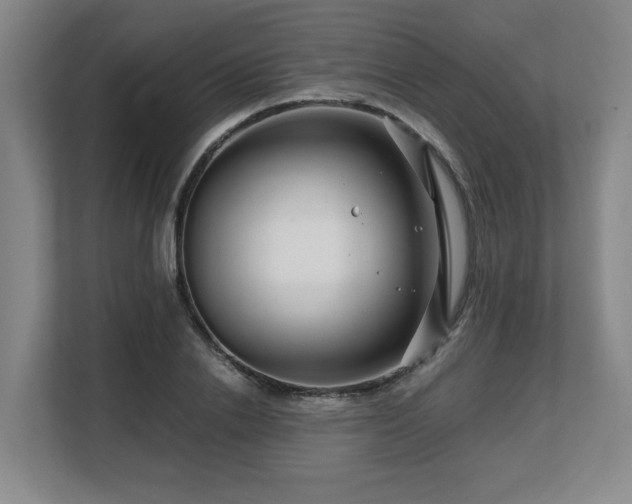 X0000108480838200904031428