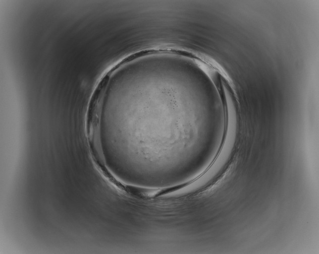X0000108480839200904031428