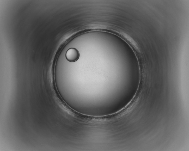 X0000108480840200904031428