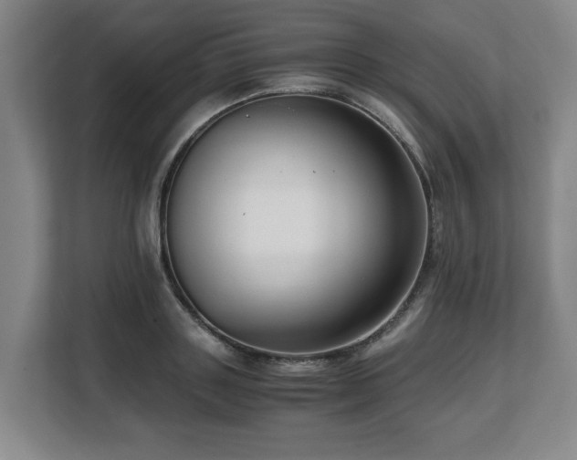 X0000108480843200904031428