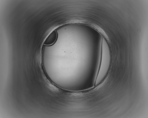 X0000108480844200904031428