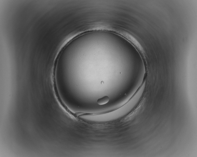 X0000108480847200904031428