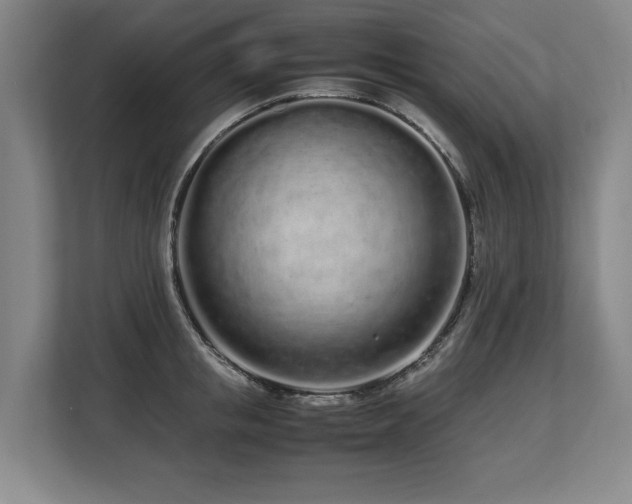 X0000108480853200904031428