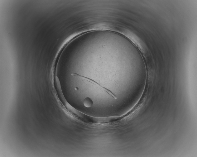 X0000108480854200904031428