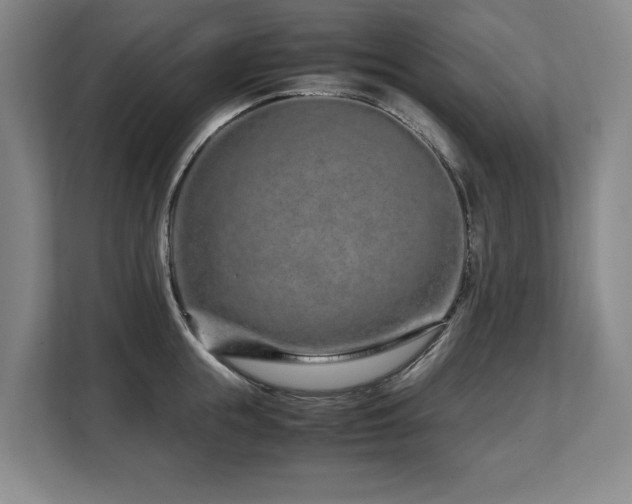 X0000108480855200904031428