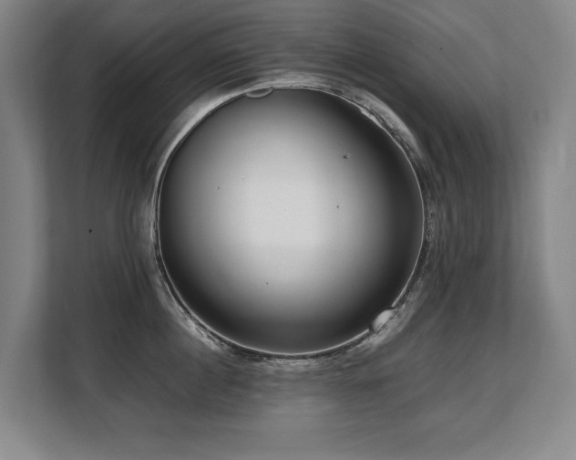 X0000108480860200904031428