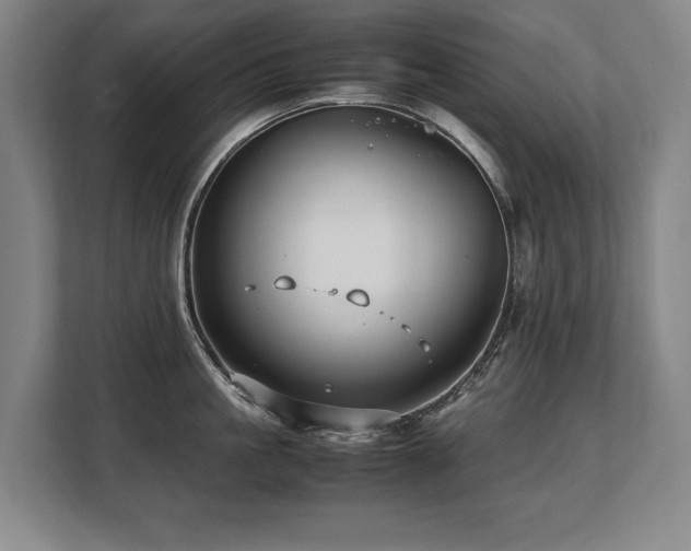 X0000108480861200904031428