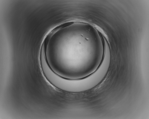 X0000108480863200904031428