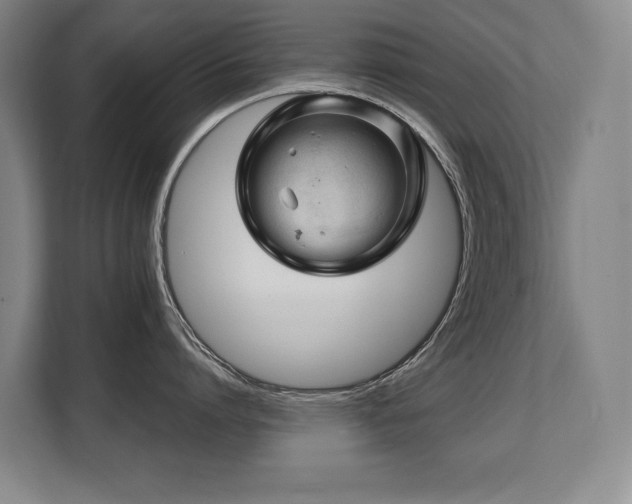 X0000108480864200904031428