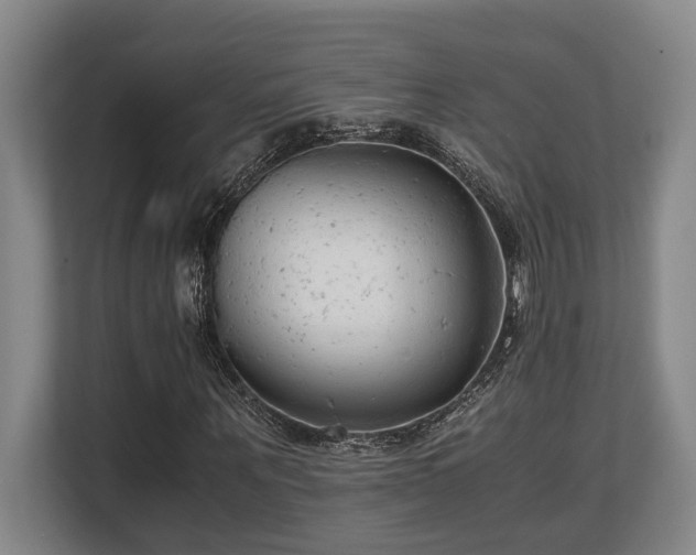X0000108480867200904031427