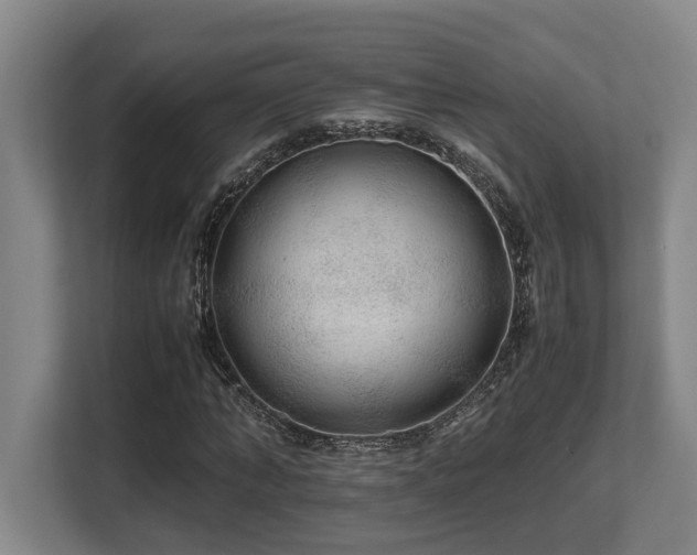 X0000108480870200904031427