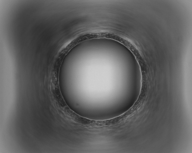 X0000108480871200904031427