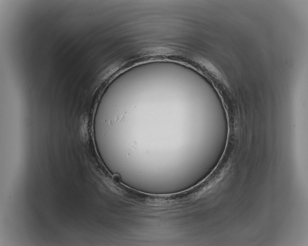 X0000108480873200904031427
