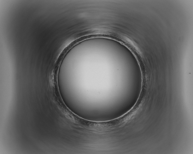 X0000108480875200904031427
