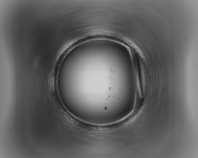 X0000108480877200904031427
