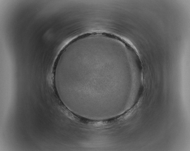 X0000108480879200904031427