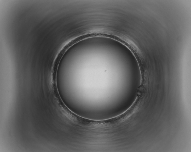 X0000108480880200904031427