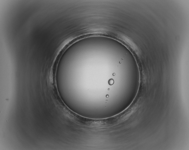 X0000108480883200904031427