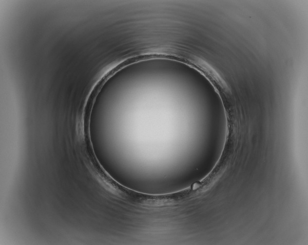X0000108480884200904031427