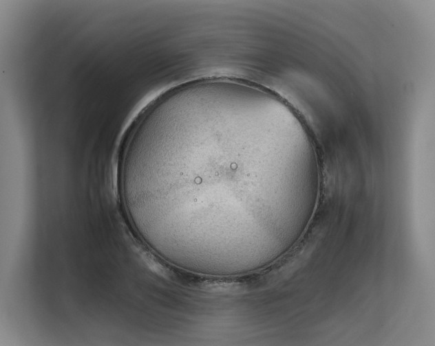X0000108480886200904031427