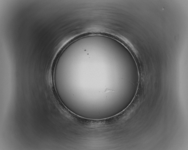 X0000108480887200904031427