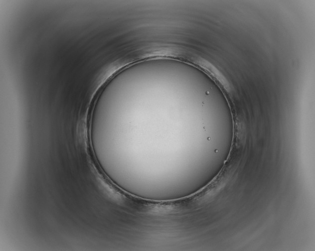 X0000108480890200904031427
