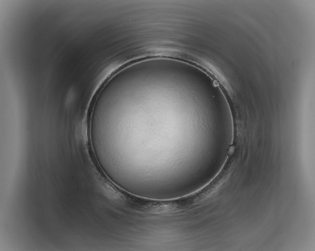 X0000108480891200904031427