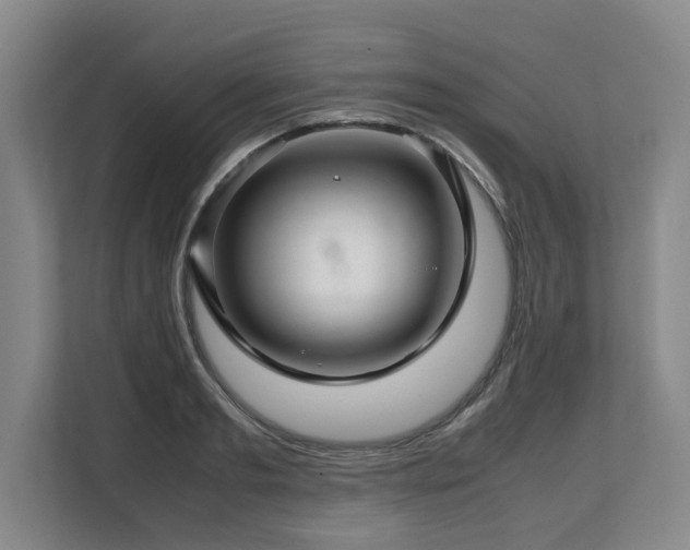 X0000108480893200904031427