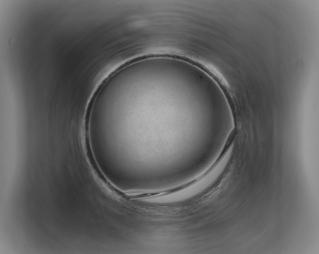 X0000108480895200904031427