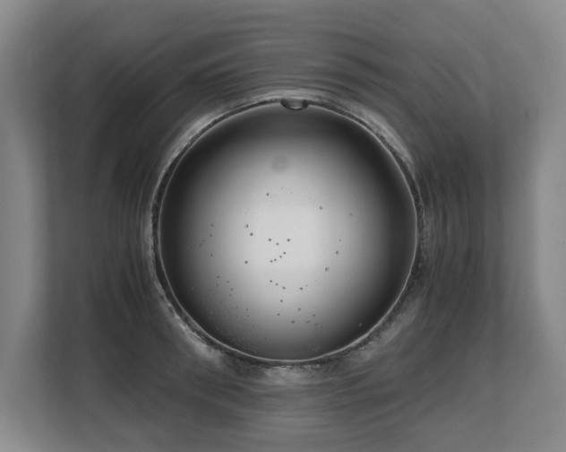 X0000108480898200904031427