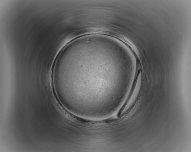 X0000108480899200904031427