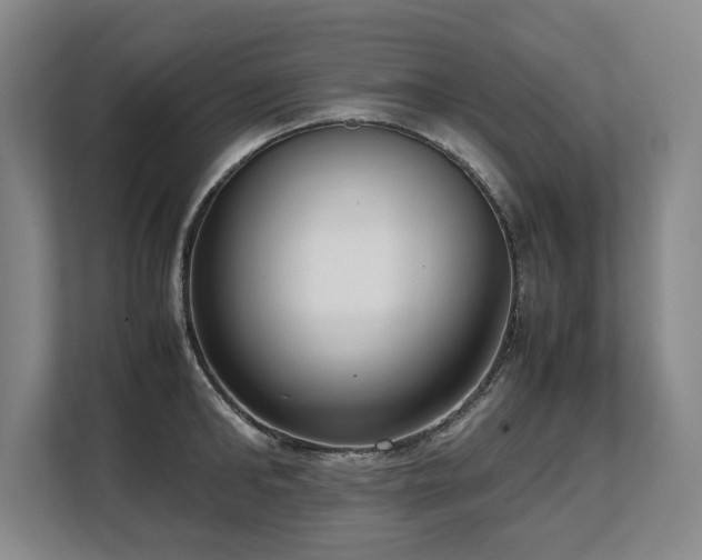 X0000108480902200904031427